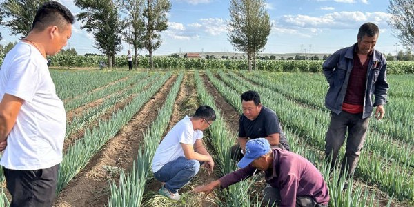 葱满满线下技术调研:走进内蒙古