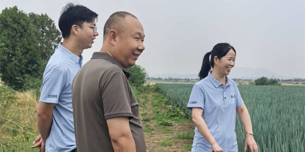 张云霞：种葱者的引路人