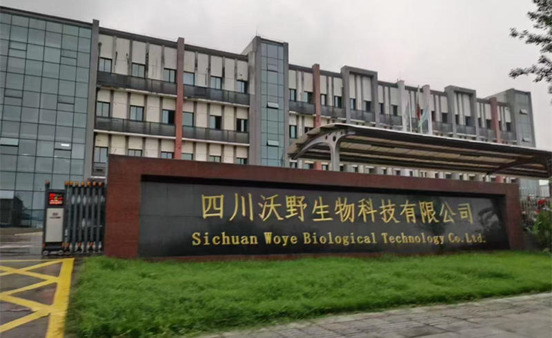 葱满满参观中迅4