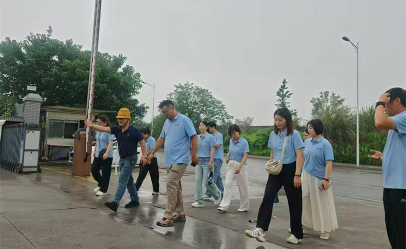 葱满满参观中迅3