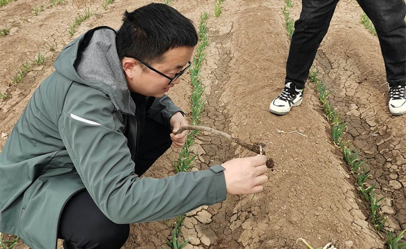 葱满满线下指导葱友