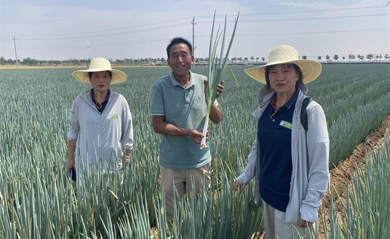 漯河薛大哥地块
