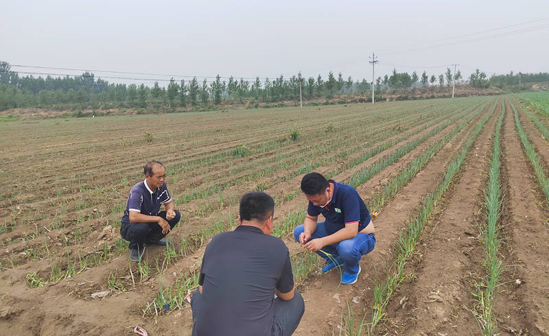 葱满满技术老师线下指导