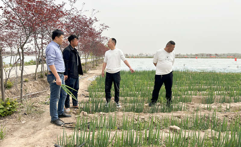 山东省种子公司莅临考察