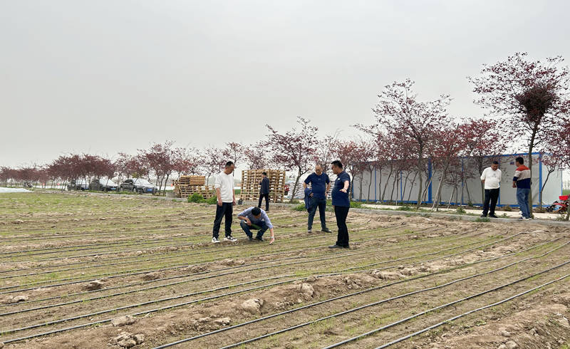 山东省种子公司到基地考察