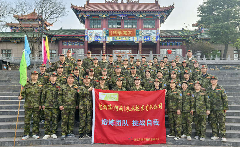 葱满满拓展训练2