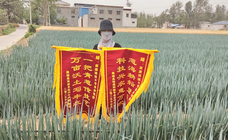 河南襄城赠孙维怡锦旗