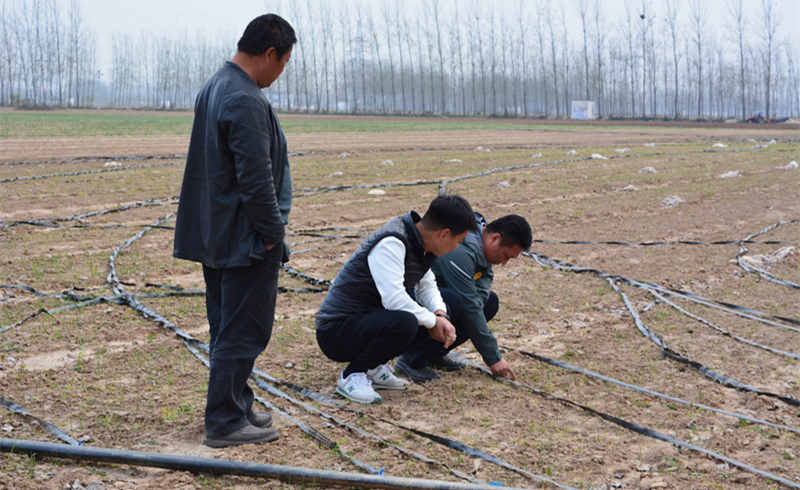 葱满满实地指导