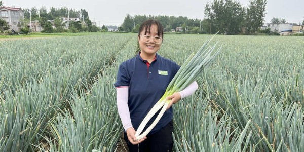 孙建萍：在萍水相逢中助您喜获丰收