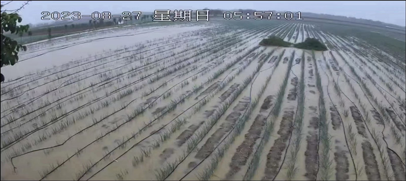 雨后被淹