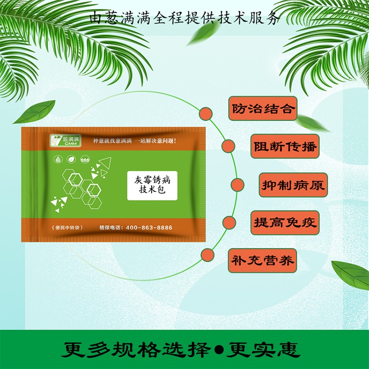 大葱灰霉病用什么药防治