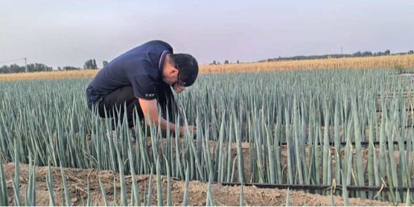余建华：葱地里的守望者