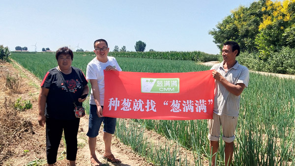 大葱种植地下害虫解决方案合作案例