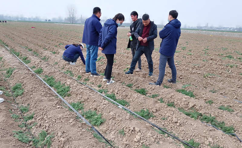 葱满满技术老师实地指导