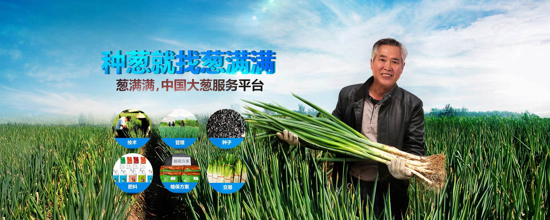 种葱就找葱满满