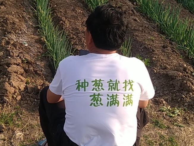 葱满满简介