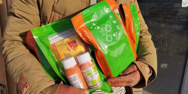 大葱虫害有哪些?虫害防治有哪些注意事项?