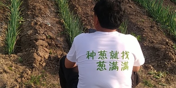 五一劳动节，葱满满致敬种葱人