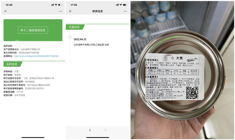 大葱种子溯源码图示