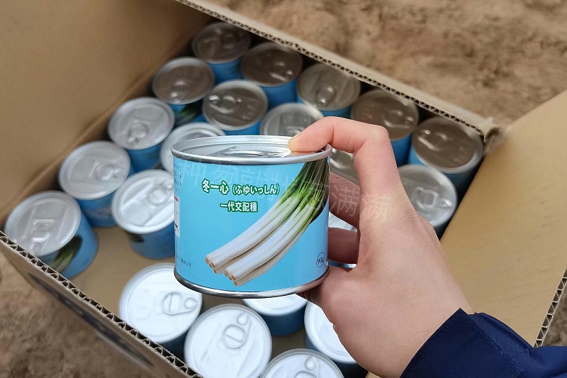 冬一心大葱种子