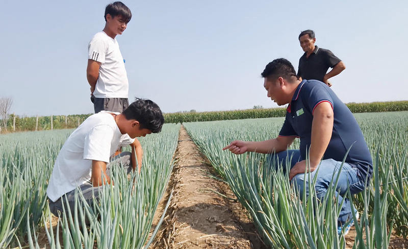 葱满满线下技术指导