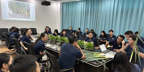 葱满满技术团队线下走访交流会