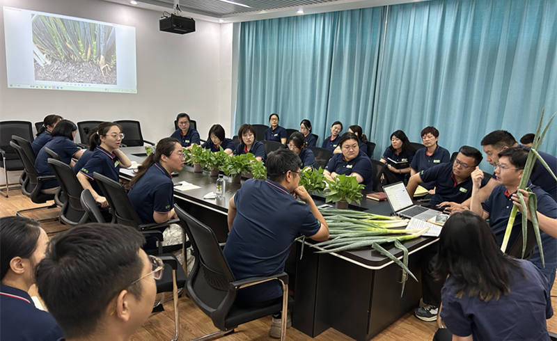 交流会1