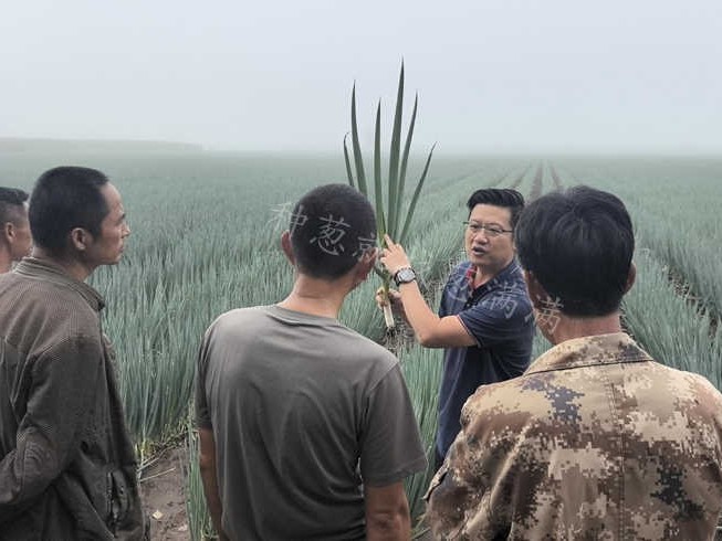 脚下有泥   心中有光  2