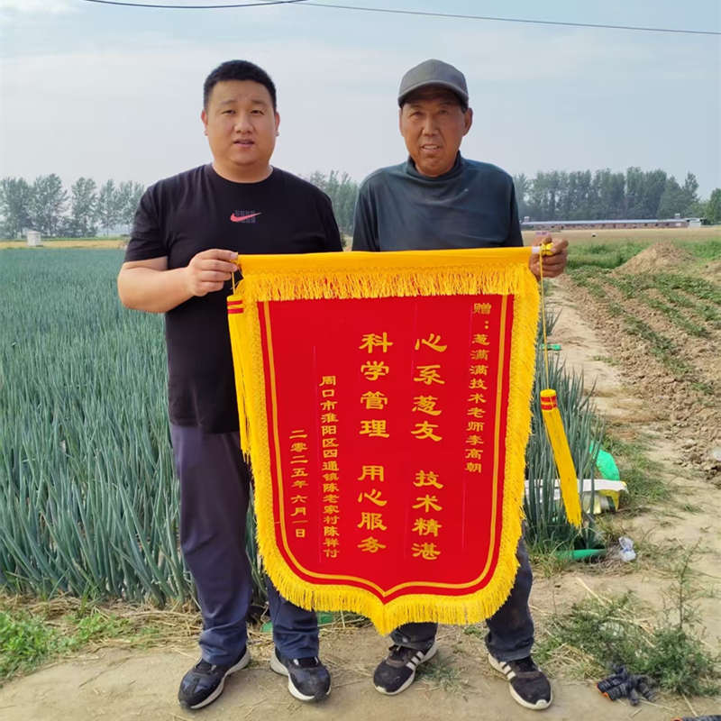 周口淮阳陈祥付—李高朝