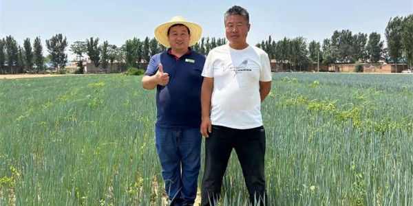 李高朝：与葱友共谱大葱丰收新篇章