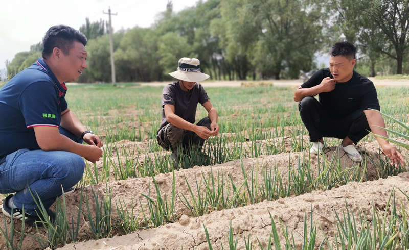 葱满满线下技术指导合影