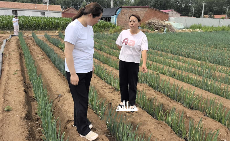 李亚杰3