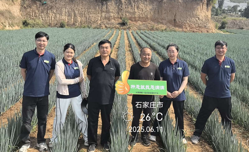 李亚杰5